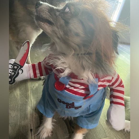 Chucky Good Dog Halloween Costume Size Medium - Picture 3 of 4